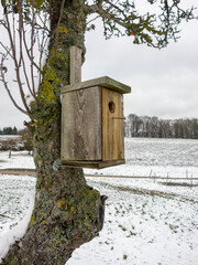 wooden bird box