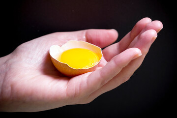 hand holding egg