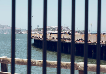 Alcatraz jail. San Francisco