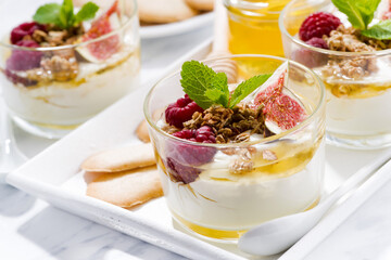 greek yogurt with honey and fresh figs, closeup