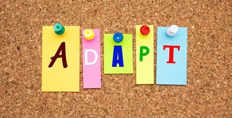 Color notes with letters pinned on a board. Word ADAPT.