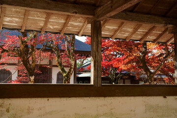 永源寺の紅葉 Autumn leaves of Eigenji Temple,shiga,japan（臨済宗永源寺派・大本山　滋賀県東近江市）