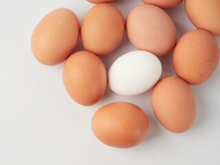 Chicken eggs in containers on a white background.