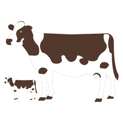 Dark Brown Cow and Calf on White Backdrop