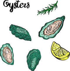 Oysters sea food, line art, hand drawn vector  pattern isolated on white background. Concept for wallpaper, menu, cards, print, icon, logo