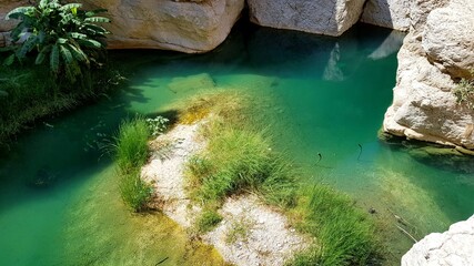 Blue-Green waterholes in Wadi Shab, Oman - obrazy, fototapety, plakaty