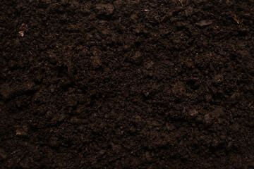Fototapeta premium Black land for plant background.