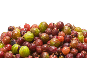 Gooseberry isolated on white background.