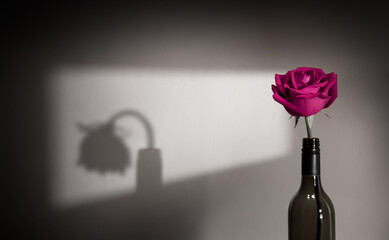 Lonely and Sadness Feeling. Mental Health in Relationship Concept. Pink Rose Flower Shading Shadow on the Wall. Symbol of  Love and Valentines Day