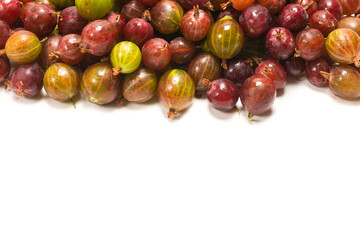 Gooseberry isolated on white background.