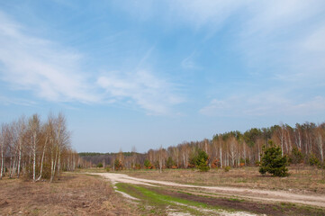 Country road leading to the spring forest