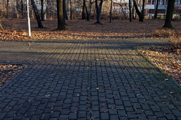 Alejka z betonowej kostki w Parku Kościuszki w Katowicach w słoneczny zimowy dzień. © Miroslaw