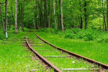 Dead railway track into the forest