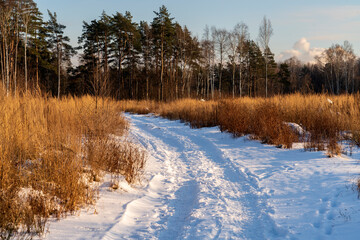 Зимняя дорога в поле. Солнечный морозный день.