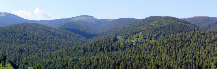  Bayerischer Wald, Hügellandschaft, Mittelgebirge,  Bayern, Deutschland, Europa, Panorama 