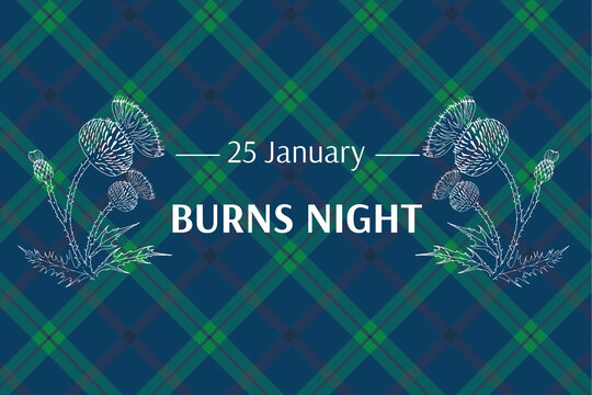 Burns night supper card. Thistle on tartan background. Burns Night - national holiday in Scotland. Template for invitation, poster, flyer, banner, etc.