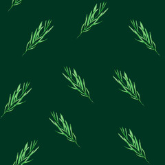 Fototapeta premium Green twig mistletoe on dark green. For decoration of gift wrapping, design works, postcards, design of fabrics and textiles, souvenirs, packaging design, invitation.