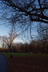 Park Kościuszki w Katowicach w słoneczny zimowy dzień © Miroslaw