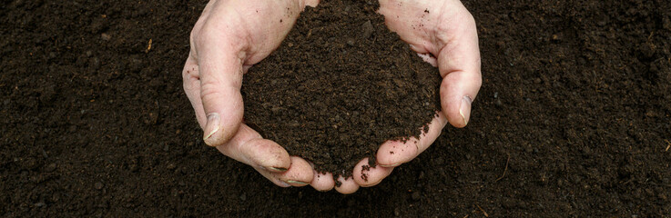 Kompost - natürlicher Dünger in der Hand 