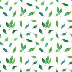 Watercolor green leaves seamless pattern, greenery digital paper on white background