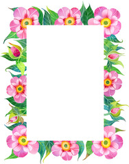 Watercolor pink peony flowers, buds and green leaves rectangle frame, floral greenery invitation on white background