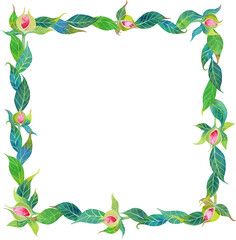 Watercolor pink peony buds and green leaves square frame, floral greenery wreath invitation on white background