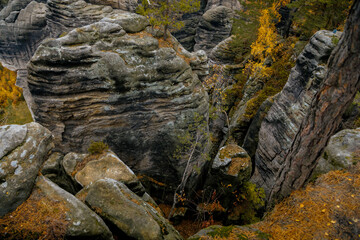 Sandstone cliffs Prachovske Skaly Prachov Rocks, Landscape with colorful trees in nature National Park Cesky Raj in autumn day, rock formation in Bohemian Paradise, Czech Republic