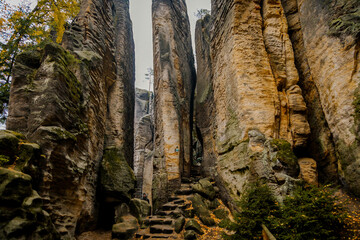 Sandstone cliffs Prachovske Skaly Prachov Rocks, Landscape with colorful trees in nature National Park Cesky Raj in autumn day, rock formation in Bohemian Paradise, Czech Republic