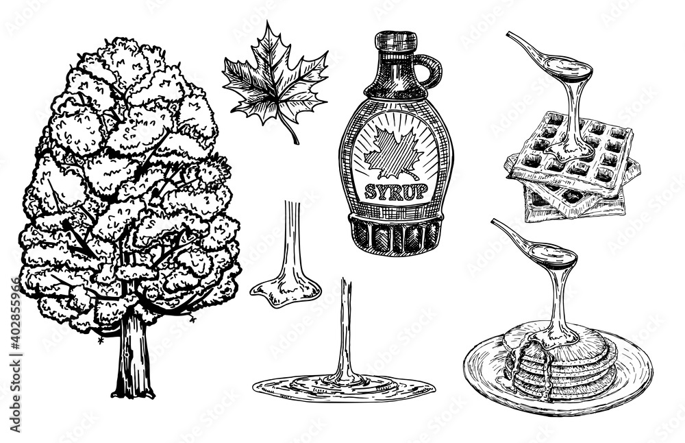 Wall mural collection of a bottle of maple syrup, maple tree and leaves. pancakes and waffles with maple syrup.