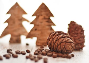 natural pine nuts and decorative pines