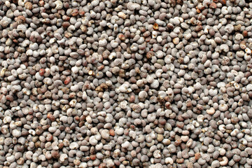 Macro photo of small poppy seeds, top view. Background from blue poppy seeds, top view. Heap of...