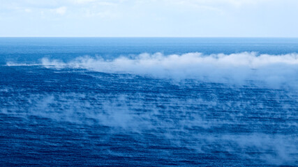 fog over the sea