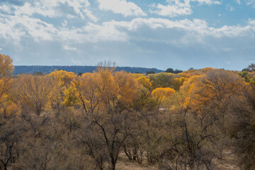 Scenic Verde River Canyon Arizona Landscape in Autumn