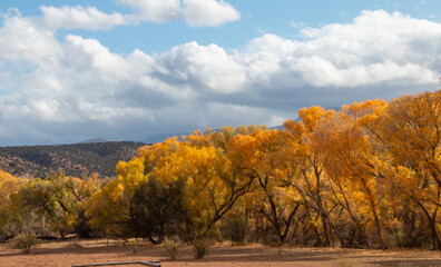Scenic Verde River Canyon Arizona Landscape in Autumn