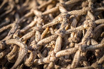 close up of a fishing net