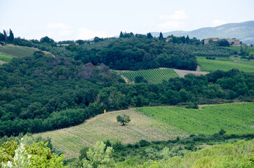 Fototapeta na wymiar Impressive spring landscape, view with agriculture fields and trees ,Tuscany,Italy