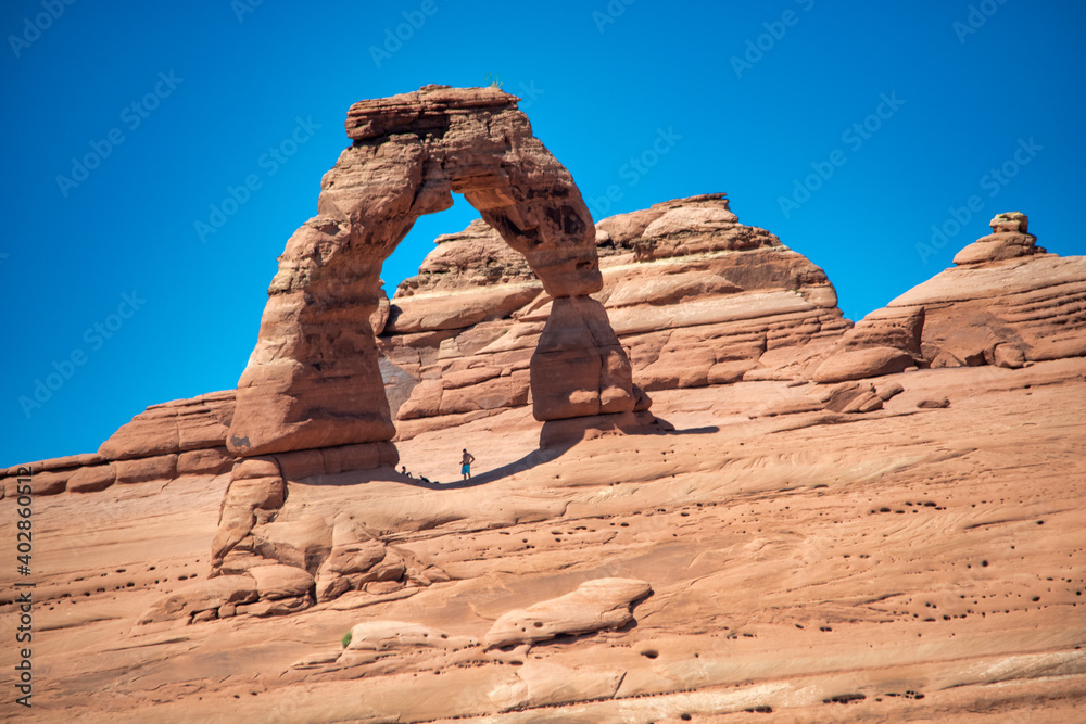 Canvas Prints Upward view of Delicate Arch in the Arches National park, Utah in summer season