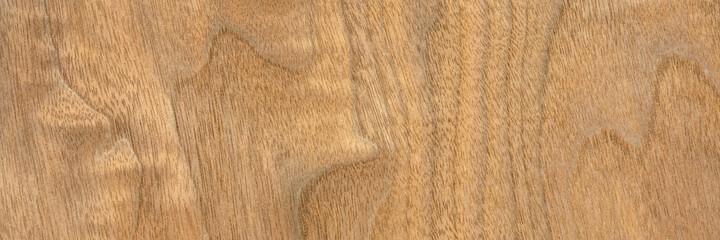background and texture of wood veneer - walnut tree, panoramic web banner