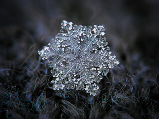 Snowflake glowing on dark textured background. Macro photo of real snow crystal: big stellar dendrite with glossy, flat surface, thin, complex arms and tiny bubbles of frozen rime across the crystal.