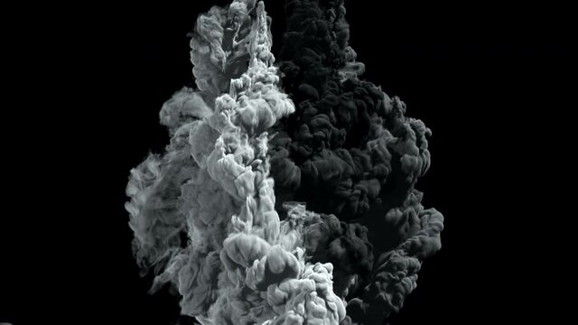 Black and White Paint Spills Onto Clear Liquid, Spreads and Swirls When Dropped into Clear Water