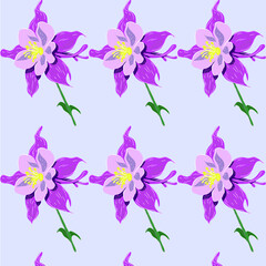 Aquilegia flower (columbina) pattern. Vector illustration on gentle blue background.