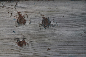 Grey wood background. Wooden rustic texture
