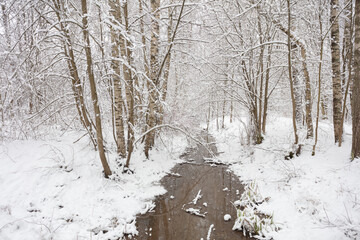 Winter forest covered with snow and a small river in Finland in Espoo. Scandinavian nature.