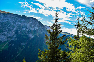 Ściana z gór i świerki -Zakopane  © Klara