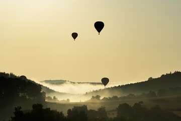 Hot air balloons floating in the morning light