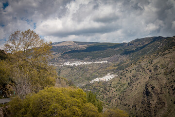 spring in the mountains, sierra nevada, spain