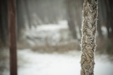 Lina w zimie © Marcin