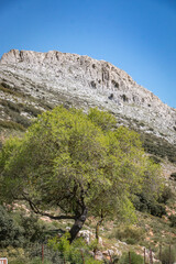 rock formation of torcal national park, andalusia, spain