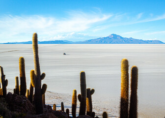 A 4x4 truck off road in the middle of Uyuni Salt Flat, Bolivia, seeing from Incahuasi Island full of giant cactus