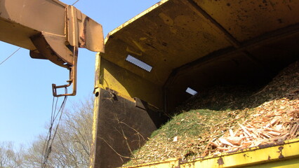 Chipping Tree Into Chip Truck